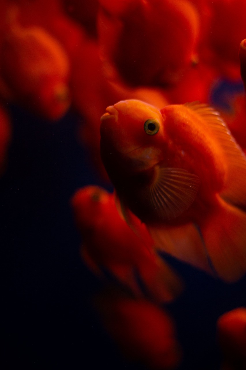 年末年始に帰省を安く帰る方法は？