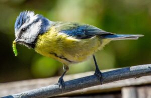 年末年始に学生が楽しむ格安の一人旅プランは？