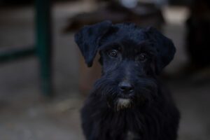 年末年始に学生が楽しむ貧乏旅行のアイデアは？