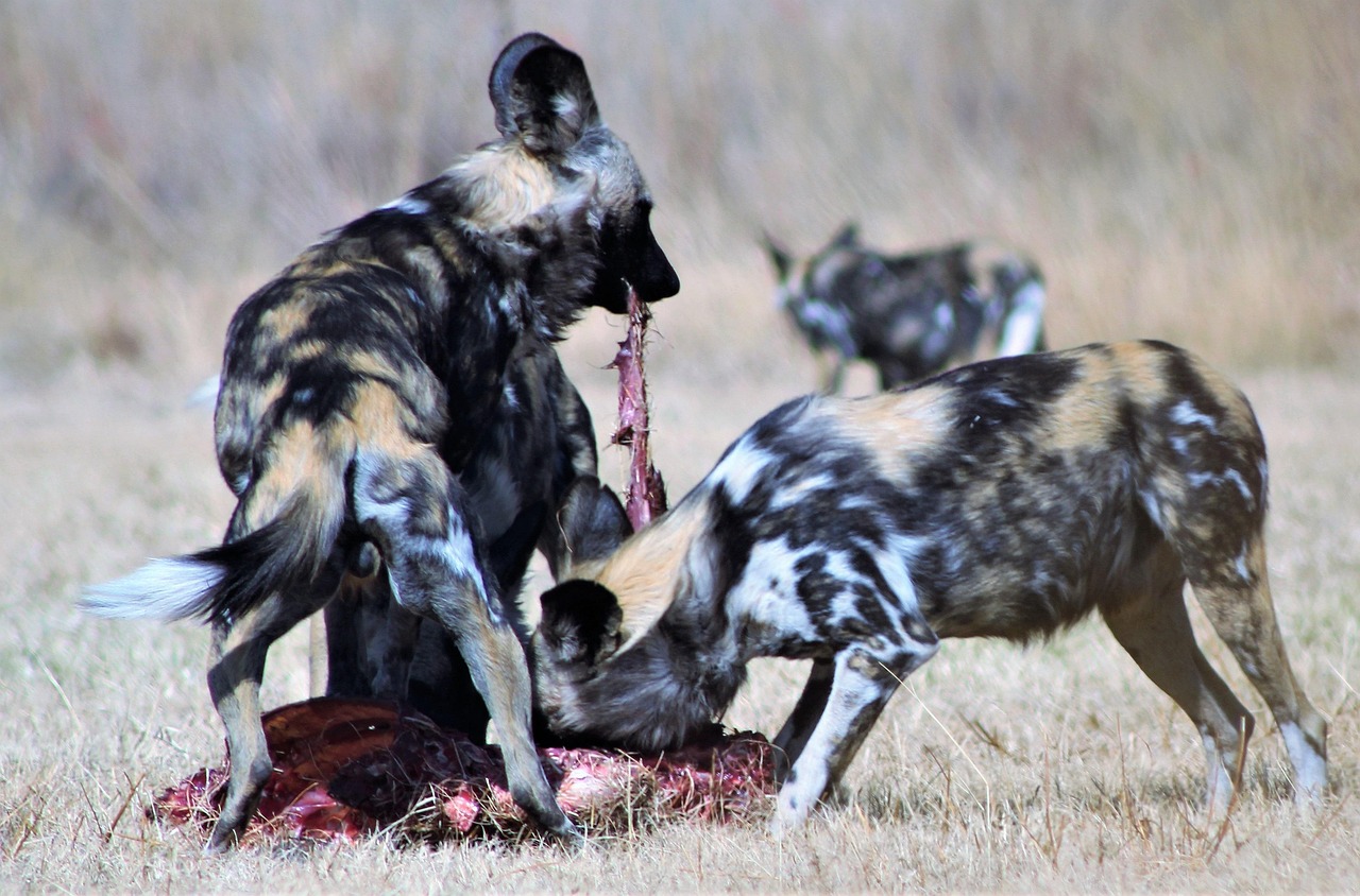 年末年始の国内ツアーで格安なプランは学生におすすめ？