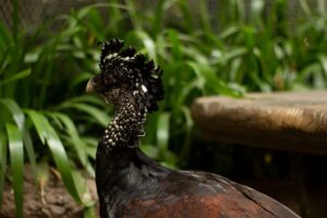 LCCを利用した年末年始の学割はどのように活用できる？