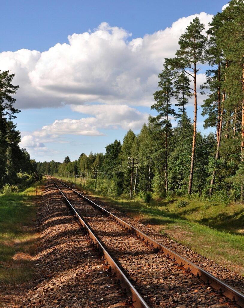 お正月に学生が旅行するための安い方法は？