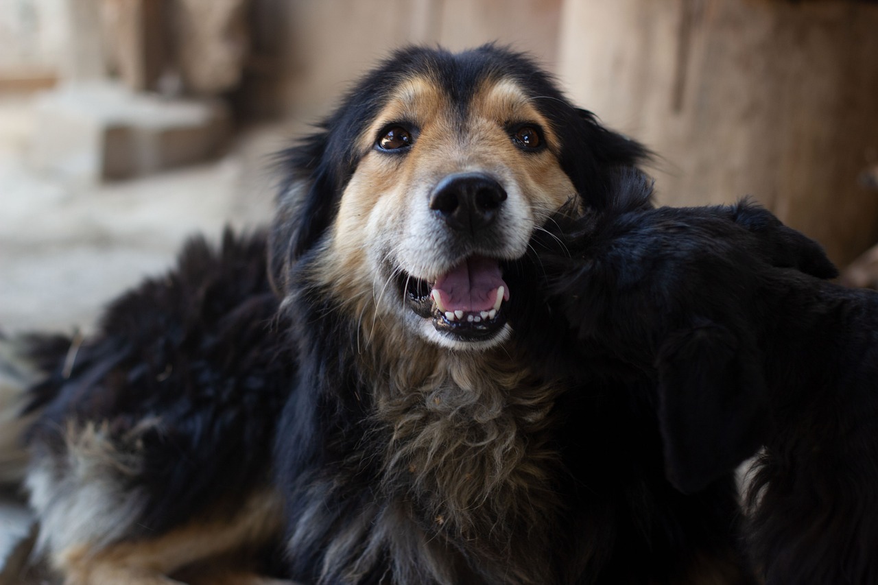 年末年始に国内線LCCを利用する際の安い時間帯はいつ？