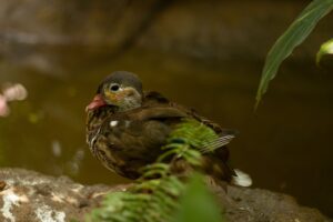 年末年始の格安航空券の探し方は？