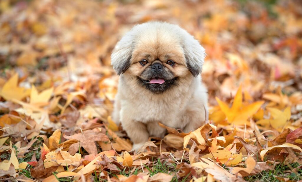 鹿児島観光でコスパ良いおすすめスポットは？