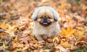 鹿児島観光でコスパ良いおすすめスポットは？