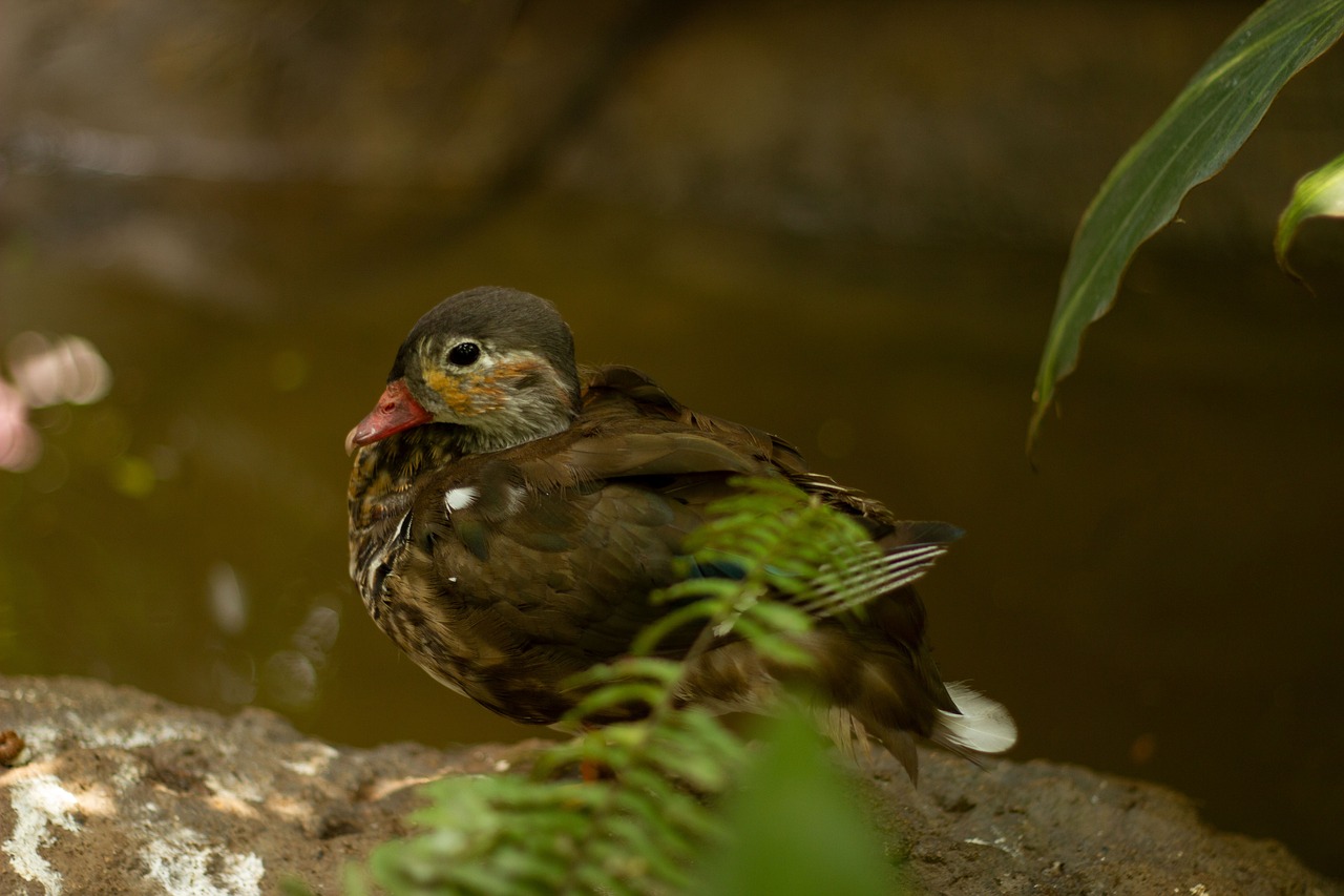 年末年始に学生向けの旅行プランはどう立てるべき？