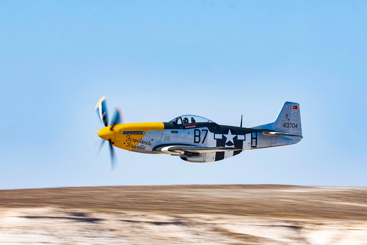 連休に初心者向けの格安航空券を利用する際の注意点は？