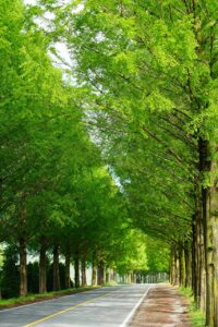 連休におすすめのナイトバスを使ったコスパ最強旅行プランは？