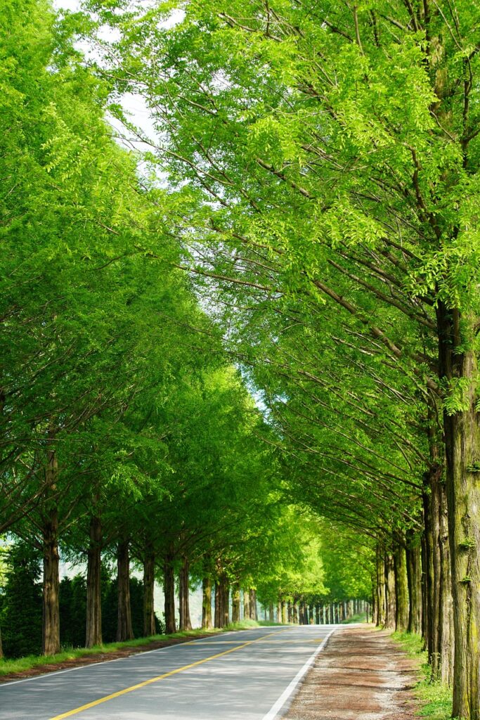 連休におすすめのナイトバスを使ったコスパ最強旅行プランは？