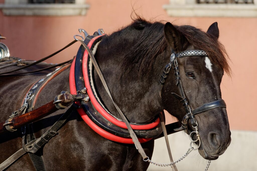 連休におすすめのマイナー観光地で安いスポットは？