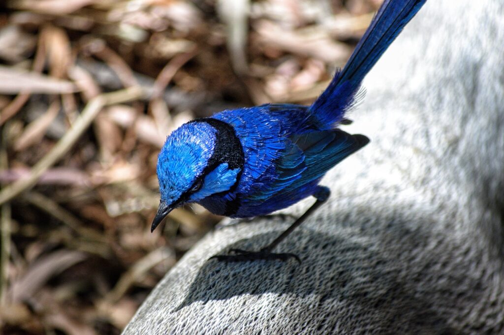 連休におすすめの在来線旅行でコスパを最大限に活かす方法は？