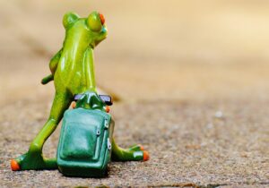 連休旅行で観光費を節約する方法は？